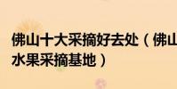 佛山十大采摘好去處(佛山哪里有采摘園佛山水果采摘基地)