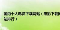 國內十大電影下載網站(電影下載網站哪個最好電影下載網站排行)