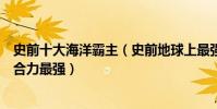 史前十大海洋霸主(史前地球上最強悍的生物盤點巨齒鯊咬合力最強)