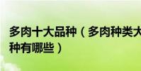 多肉十大品種(多肉種類大全常見多肉植物品種有哪些)