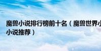 魔獸小說排行榜前十名(魔獸世界小說大全好看的魔獸題材小說推薦)