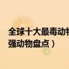 全球十大最毒動物排名（全球十大毒性最強動物世界毒性最強動物盤點）