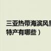 三亞熱帶海濱風景名勝區十大特產（海南三亞必買特產三亞特產有哪些）