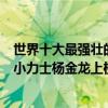 世界十大最強壯的小孩（全球肌肉最發達的小孩有哪些中國小力士楊金龍上榜）