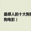最感人的十大狗狗電影（關于狗的電影哪部最好看最催淚的狗電影）