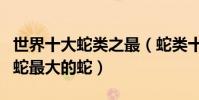 世界十大蛇類之最(蛇類十大世界紀錄最毒的蛇最大的蛇)