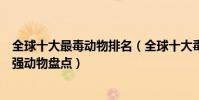 全球十大最毒動物排名(全球十大毒性最強動物世界毒性最強動物盤點)