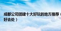 成都公司團建十大好玩的地方推薦(成都團隊集體活動玩耍好去處)