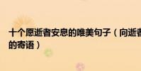 十個愿逝者安息的唯美句子(向逝者致哀的句子對剛去世人的寄語)