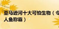 亞馬遜河十大可怕生物(令人聞風喪膽帕庫食人魚稱霸)