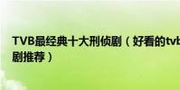 TVB最經典十大刑偵劇(好看的tvb刑偵電視劇刑偵題材港劇推薦)