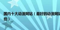 國內十大動漫網站(最好的動漫網站排名知名動漫網站有哪些)