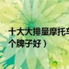 十大大排量摩托車推薦（大排量摩托車品牌排行重型機車哪個牌子好）