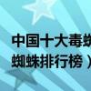 中國十大毒蜘蛛（國內毒性最強的蜘蛛中國毒蜘蛛排行榜）