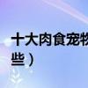 十大肉食寵物榜單（你知道的食肉寵物都有哪些）