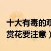 十大有毒的觀賞花（毒性最強的十種花這些觀賞花要注意）