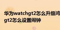 華為watchgt2怎么升級鴻蒙系統 華為watchgt2怎么設置鬧鐘