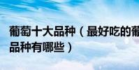 葡萄十大品種(最好吃的葡萄種類排名葡萄的品種有哪些)