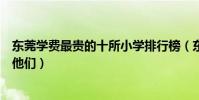 東莞學費最貴的十所小學排行榜(東莞市十大貴族學校竟是他們)