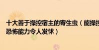 十大善于操控宿主的寄生蟲(能操控宿主行為的寄生蟲盤點恐怖能力令人發怵)