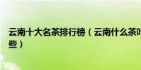 云南十大名茶排行榜(云南什么茶葉最出名云南產的茶有哪些)