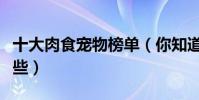 十大肉食寵物榜單(你知道的食肉寵物都有哪些)
