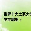 世界十大土豪大學（全球最有錢大學排名全世界最富有的大學在哪里）
