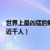 世界上最兇猛的鱷魚（十大攻擊性最強的鱷魚榜首曾經吃掉近千人）
