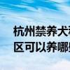 杭州禁養犬種目錄（這33種狗不能養杭州市區可以養哪些狗）