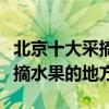 北京十大采摘園（北京采摘園哪里好玩北京采摘水果的地方）