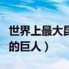 世界上最大昆蟲（十種體積最大的昆蟲昆蟲中的巨人）