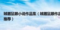賊眉鼠眼小說作品集(賊眉鼠眼作品哪個好看賊眉鼠眼小說推薦)