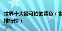世界十大最可怕的鯊魚(世界上最兇猛的鯊魚排行榜)