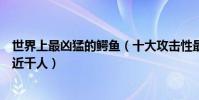 世界上最兇猛的鱷魚(十大攻擊性最強的鱷魚榜首曾經吃掉近千人)