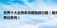 世界十大名貴多肉植物排行榜(最貴價格超十萬你還敢說你養過多肉)