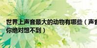 世界上聲音最大的動物有哪些(聲音最大的十種動物第二名你絕對想不到)