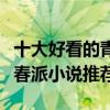 十大好看的青春小說（青春校園小說排行榜青春派小說推薦）