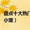 盤點十大熱門小型寵物（適合養在寢室的十大小寵）