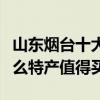 山東煙臺十大特產（煙臺特產有哪些煙臺有什么特產值得買）