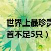 世界上最珍貴的動物（十種最為稀有的動物榜首不足5只）