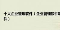 十大企業管理軟件(企業管理軟件哪個好用企業辦公管理軟件)