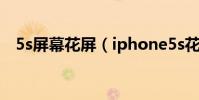 5s屏幕花屏(iphone5s花屏的處理方法)