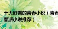 十大好看的青春小說(青春校園小說排行榜青春派小說推薦)