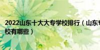 2022山東十大大專學校排行(山東專科學校排名山東高職院校有哪些)