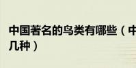 中國著名的鳥類有哪些(中國十大名鳥你見過幾種)