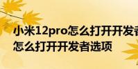 小米12pro怎么打開開發者模式 小米12Pro怎么打開開發者選項