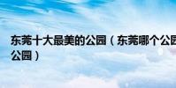 東莞十大最美的公園(東莞哪個公園風景最好東莞最漂亮的公園)