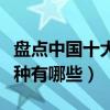 盤點中國十大兵種之最（最累的兵種是什么兵種有哪些）