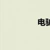 電驢（關于電驢的介紹）