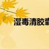 濕毒清膠囊（關于濕毒清膠囊的介紹）